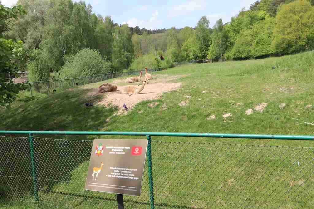 IMG_5248_Easy-Resize.com