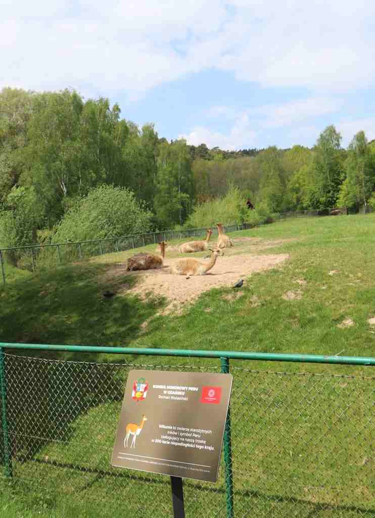 IMG_5249_Easy-Resize.com