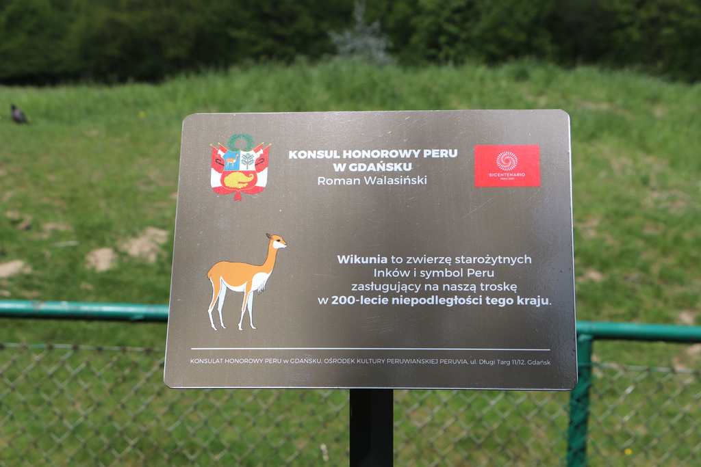 IMG_5252_Easy-Resize.com