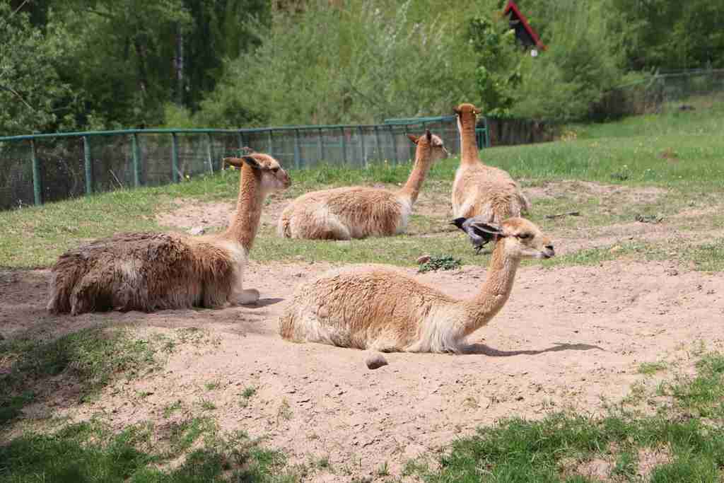 IMG_5255_Easy-Resize.com