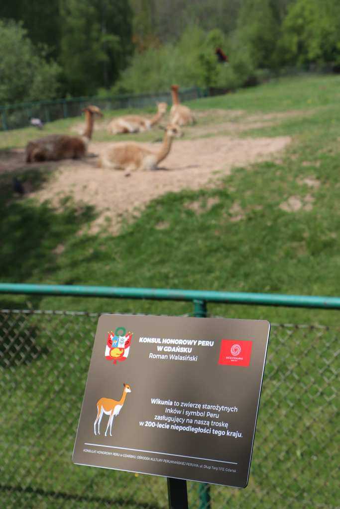 IMG_5260_Easy-Resize.com